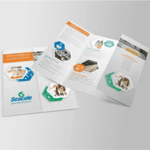 Brochure Real Size (Woodfree paper 100gsm)